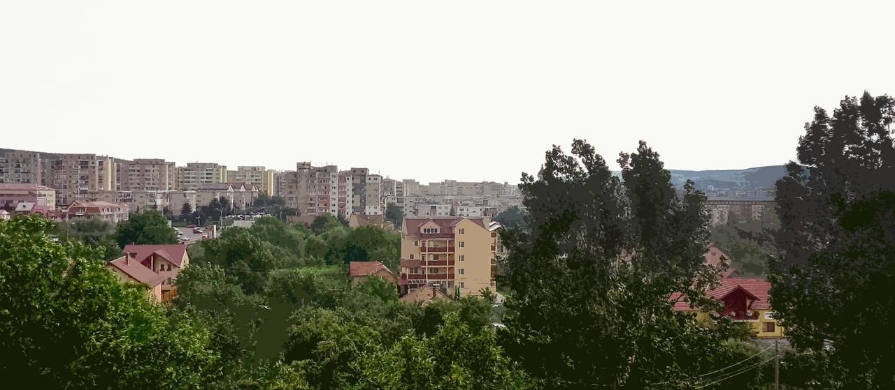 Гостевой дом Vila Rosa Клуж-Напока-27